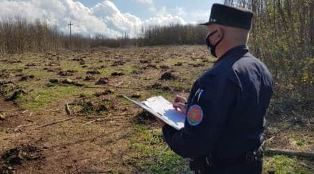 Sorpresi a tagliare il castagneto di proprietà del vicino, arrestate 5 persone nel reggino Il bosco del vicino è sempre più verde. E’ parafrasando un noto proverbio che può essere riassunta questa vicenda