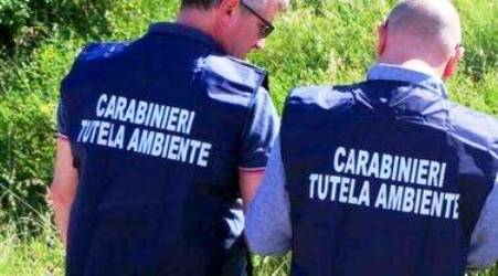 Traffico di rifiuti e riciclaggio: 13 arresti tra Reggio Calabria, Cosenza, Palermo, Campania e Puglia Operazione “All black”, traffico di rifiuti: arresti tra Lecce, Taranto, Brindisi, Palermo, Cosenza, Reggio Calabria, Salerno, Napoli e Caserta