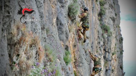 Lo Squadrone Eliportato CC Cacciatori “Calabria” festeggia i suoi 30 anni dall’istituzione L’osservazione è una delle attività più importanti dello Squadrone Cacciatori, per conseguire una capillare conoscenza del territorio e, grazie ad essa, giungere alla localizzazione e cattura di soggetti ricercati, spesso appartenenti alla criminalità organizzata e connotati da elevata pericolosità