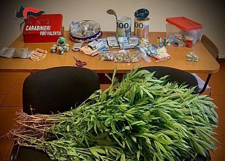 Marijuana pronta per essere spacciata e oltre 5000 mila euro nascosti in campagna, un arresto I Carabinieri hanno infatti scoperto 75 piante di marijuana, quasi 400 grammi dello stesso tipo di sostanza stupefacente già essiccata e suddivisa in 42 dosi