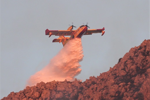 In arrivo temperature fino a 45°, Curcio “Massima attenzione a incendi”