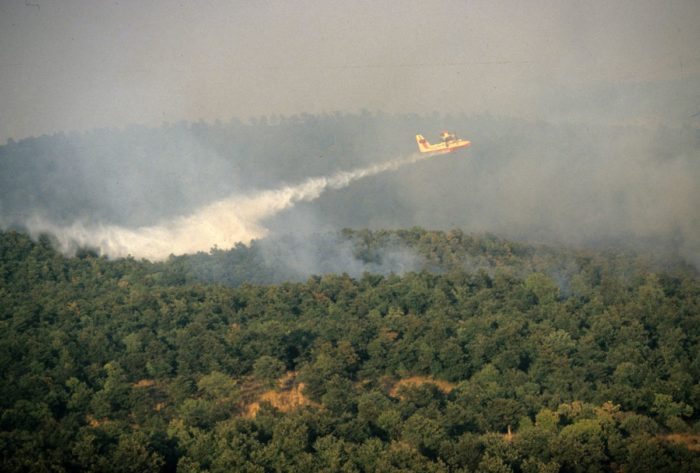 Incendi, in Italia dall’inizio del 2021 bruciati 158mila ettari