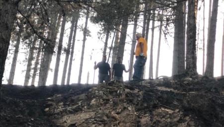 Emergenza incendi in Calabria, situazione drammatica Particolare angoscia desta quello attivo a San Luca che minaccia le Foreste Vetuste, patrimonio Unesco