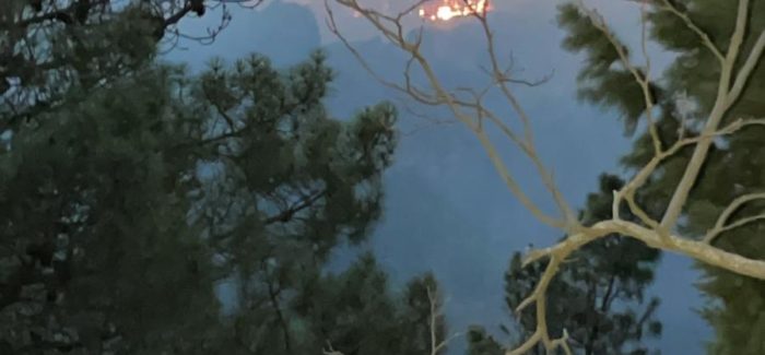 Parco Aspromonte, Autelitano: “Invochiamo Esercito per spegnere incendi”