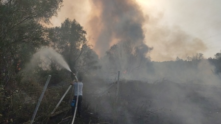 Palmi, incendio a ridosso del popoloso quartiere di San Leonardo Durante le operazioni sono stati coadiuvati sia dall’Arma dei Carabinieri della Compagnia di Palmi e, nella giornata del 10, dai VVF che in questo periodo sono impegnati con centinaia di interventi da gestire