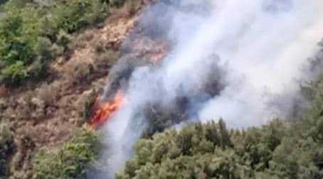 Emergenza incendi, Autelitano, “Siamo alla disperazione!” Aggiornamento L'aggiornamento del  presidente del Parco Nazionale dell'Aspromonte