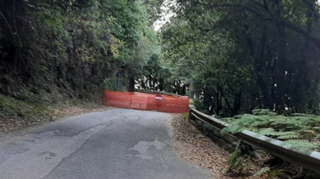 Santa Cristina d’Aspromonte, la Città Metropolitana attenziona l’ex “112” ma serve un  intervento immediat opo diversi allarmi lanciati dai cittadini di Santa Cristina d’Aspromonte in merito alla disastrosa  situazione della Strada Provinciale 2 che sta danneggiando l’economia locale e quella dei comuni  limitrofi, la Città Metropolitana di Reggio Calabria si è assunta l’impegno di finanziare i lavori di  ripristino e messa in sicurezza del tratto della ex 112 che interessa il piccolo centro aspromontano.  A causa dell’imminente arrivo della stagione autunnale il portavoce degli abitanti della cittadina  Daniele Tedesco ricorda però l’importanza di un intervento immediato