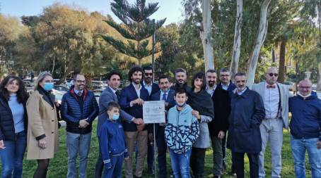 Reggio Calabria, celebrata la Giornata nazionale degli Alberi Iniziativa degli Agronomi e Forestali reggini sul lungomare "Italo Falcomatà"