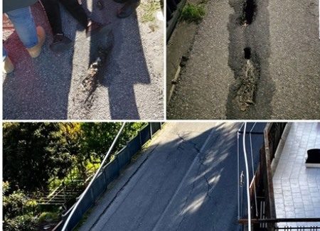 Una donna è caduta a causa di una buca sul manto stradale, con il rischio di essere travolta dalle autovetture Comitato di quartiere chiede intervento urgente per via della stazione a rischio crollo