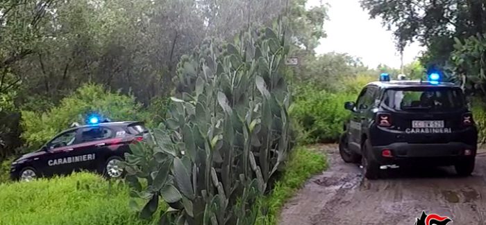 Operazione “saggio compagno”: eseguito ordine per la carcerazione nei confronti di otto imputati Condotta dalla Compagnia Carabinieri di Taurianova, nell’arco temporale dicembre 2014 e gennaio 2015, finalizzata alla disarticolazione del “locale” di Cinquefrondi, cosca operante in tutta la piana di Gioia Tauro ed attiva nel traffico di sostanze stupefacenti e nel contrabbando di armi da sparo