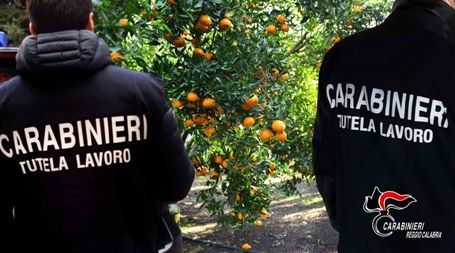 Quattro ordinanze di arresto (ai domiciliari), responsabili dello sfruttamento di braccianti agricoli nella Piana di Gioia Tauro Si tratta di un imprenditore e tre "caporali" ed è stata sottoposta sotto sequestro l'azienda dell'imprenditore