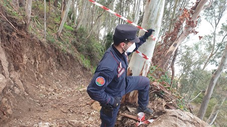 Parghelia, controlli dei carabinieri forestali, denunce e sequestri Su opere realizzate in aree sottoposte a vincolo paesaggistico ambientale