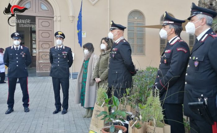 Le Talee dell’Albero Falcone nelle scuole di Palermo