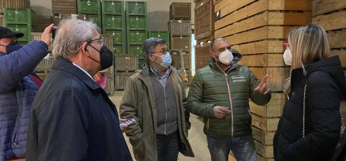 Pnrr, Magorno (IV): “Opportunità da non perdere per l’agricoltura calabrese”