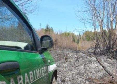 Quattro soggetti denunciati per aver cagionato un incendio colposo in Calabria L’incendio si propagava in seguito all’accensione di un fuoco, finalizzato allo svolgimento di lavori di ripulitura attraverso l’abbruciamento di rifiuti vegetali