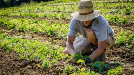 Molinaro (Lega), “Giovani imprenditori agricoli traditi dalla Regione Calabria” La Giunta Occhiuto, per il doveroso rispetto che la Regione Calabria deve avere nei confronti dei suoi Giovani, non può più tollerare che si continui all'infinito