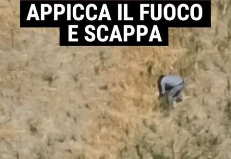 Piromane appica un incendio e scappa, beccato da un drone della Regione Calabria Le immagini sono state pubblicate su Facebook dal governatore Occhiuto