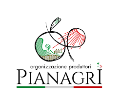 Dopo il furto di oggi in ginocchio la cooperativa Op Piana Agri Taurianova, Leandro Caccamo: "Lo Stato deve dare risposte concrete, non è possibile andare avanti in queste condizioni"