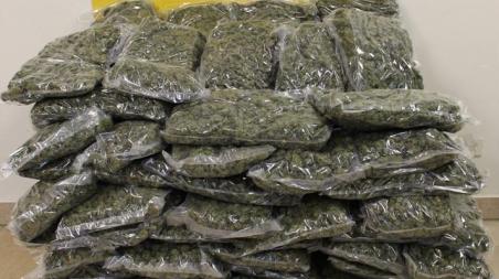 Arrestato presunto spacciatore e sequestrati 55 kg di marijuana destinati nel Reggino Avendo a disposizione unicamente un’utenza telefonica fornita alla ditta di trasporto per il rintraccio del destinatario, un finanziere, si è camuffato fingendo di essere un corriere di una nota ditta di trasporti