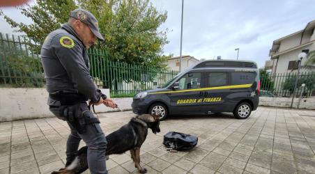 Sequestrati oltre 10 kg di cocaina a un 25enne sull’Autostrada Salerno-Reggio Calabria Nel corso dei controlli di rito, il conducente del mezzo mostrava evidenti segnali di nervosismo ed enorme difficoltà a spiegare la destinazione e le motivazioni del viaggio