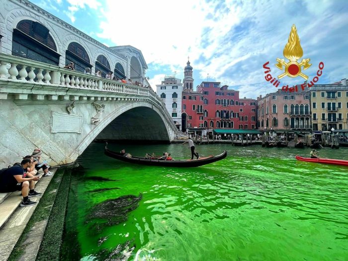 Chiazza verde nel Canal Grande a Venezia