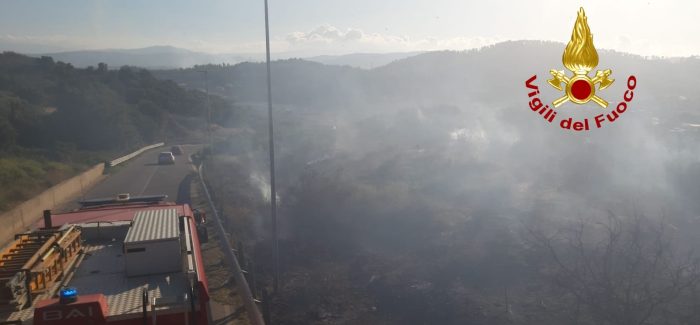 Incendio in Calabria minaccia abitazioni Inviato un ulteriore canadair e mezzi dei Vigili del fuoco 