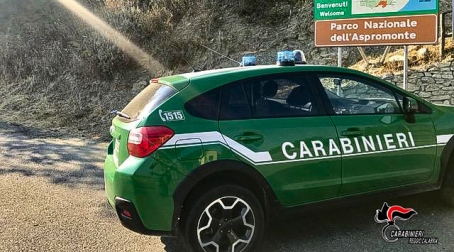 Nel segno della tradizione anche quest’anno i Carabinieri della Biodiversità organizzeranno una giornata speciale Tanti bambini ricoverati negli ospedali di tutta Italia riceveranno doni e attenzioni, nella speranza che anche la conoscenza e l’amore per la natura aiutino a superare questo difficile periodo