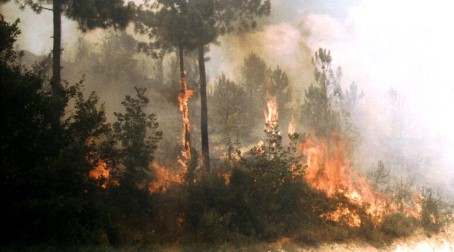 Dramma incendi nel Reggino, nella Locride, residenti costretti a lasciare le abitazioni con case assediate dalle fiamme A Montebello Ionico ed a Motta San Giovanni alcune persone sono state costrette ad abbandonare le loro abitazioni perché minacciate dalle fiamme