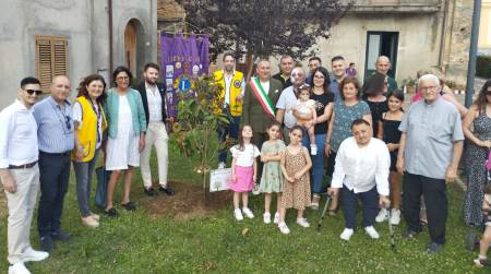 Terranova Sappo Minulio, Il Lions Club Polistena Brutium ha aderito alla proposta “Tre alberi per salvare il pianeta” Ieri è stato impiantato un albero di magnolia che porterà il nome di Chiara, ossia l'ultima nata della città pianigiana