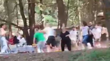 Violenta lite a Ferragosto nel Reggino  e che poteva degenerare in qualcosa di molto grave. VIDEO Le immagini di una maxi rissa in montagna durante la tradizionale scampagnata estiva