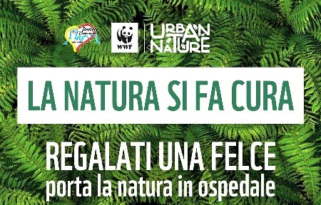 A Taurianova “La natura si fa cura” con WWF e la “Proloco Taurianova nel Cuore” Oggi dalle 16.30 alle 20 e domenica mattina dalle 10 alle 13 e pomeriggio dalle 16.30 alle 20, i ragazzi della Proloco Taurianova nel Cuore vi aspettano a Taurianova in Piazza Italia