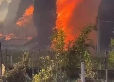 Inferno di fuoco a Bagnara Calabra. FOTO E VIDEO. AGGIORNAMENTO. Domato l'incendio di vaste proporzioni, si indaga sulle cause. Resta ancora qualche focolaio