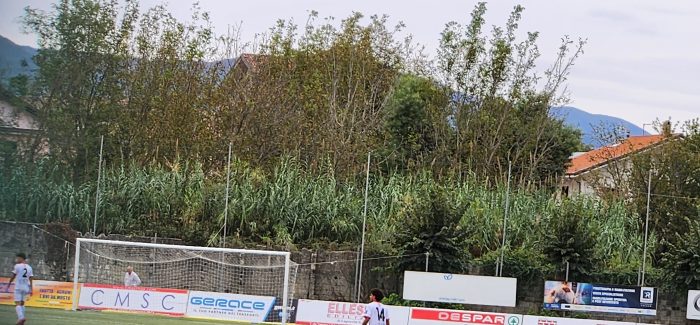 Cittanovese, arbitraggi allegri, sfortuna, fermano la corazzata di Nocera. A Isola Capo Rizzuto obbligatorio vincere per ridare morale a tutto l’ambiente Intanto la squadra e lo staff tecnico si autotassano per pagare il pullman ai tifosi della cittanovese