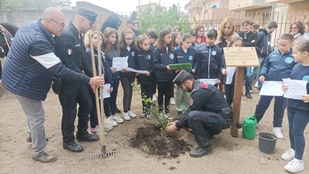 Giornata nazionale degli alberi celebrata a Catona dai Carabinieri forestali con gli alunni Nello stile dell’antica Legge delle 12 tavole di antica romana memoria, gli alunni dell’Istituto Comprensivo “Radice-Alighieri” del quartiere di Catona, di Reggio Calabria