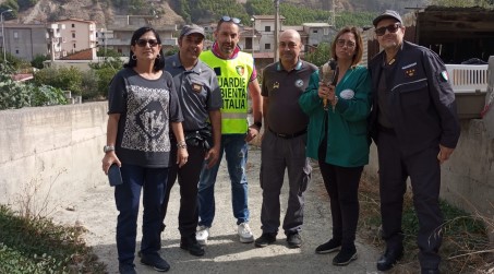 Liberato un esemplare di falco pellegrino che era stato ferito con armi da fuoco Continua l'azione di contrasto al bracconaggio della Polizia Metropolitana di Reggio Calabria