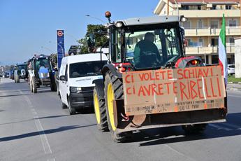 Trattori, una protesta con tanti capi: movimento a caccia di un leader