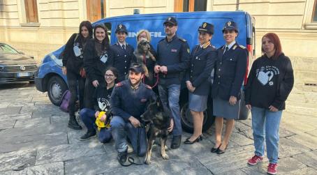 La Polizia di Stato di Reggio Calabria adotta un cane dal canile municipale: da oggi Lisa entra a far parte della famiglia dei Cinofili Entra ufficialmente a far parte della grande famiglia della Polizia di Stato Lisa, la cagnolina adottata dal Questore di Reggio Calabria presso il canile municipale ed ospitata dalla Squadra Cinofili