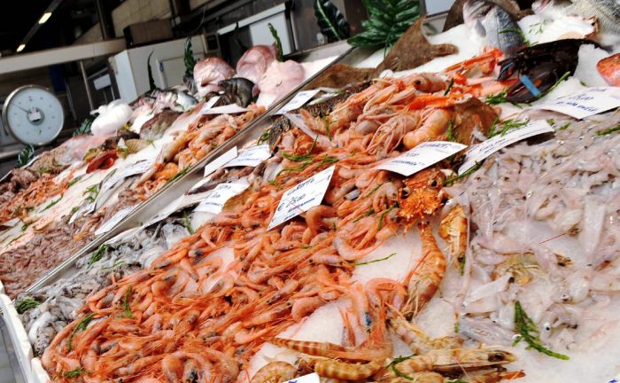 Blitz contro il mercato abusivo del pesce nel Trapanese, multe e sequestri