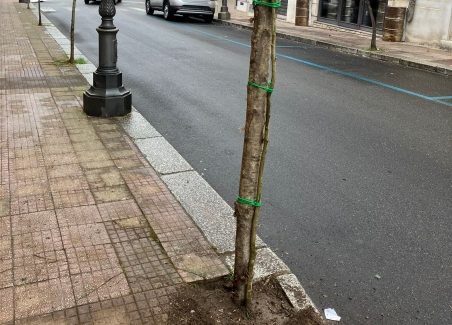 Polistena, da sabato 13 aprile ritorna “ALBEROLIBRO” rassegna ambientale e culturale L’Amministrazione Comunale presenta la rassegna AlberoLibro 2024, ciclo di manifestazioni che racchiude i temi ambientali con argomenti di attualità e cultura