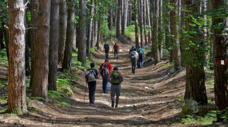 Le camminate nella biodiversità del FAI nel Parco Nazionale dell’Aspromonte L’appuntamento è per domenica 19 maggio, con partenza dal margine nord del Villaggio Moleti