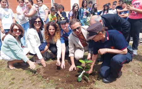 Arriva a Taurianova l’Albero di Falcone Il Comune di nuovo al fianco di Carabinieri, scuole e l’associazionismo. Gli assessori Crea e Grimaldi: Giovani consapevoli sono una forza contro la violenza e per un senso civico più alto         