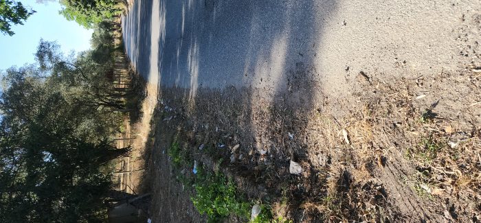 Cittanova-Polistena, la strada S47 abbandonata al proprio destino Pozzetti e cunetti non puliti da anni rischiano alla prima pioggia di trasformare quel tracciato in un fiume in piena . VIDEO