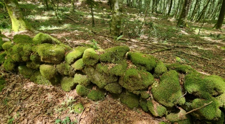 La “riscoperta” di un ampio tratto di fortificazione romana, il “muro di Spartaco” e di diverse armi Un articolato programma di ricerche condotto dalla Soprintendenza Archeologia, Belle Arti e Paesaggio per la città metropolitana di Reggio Calabria e la provincia di Vibo Valentia, in collaborazione con il Parco Nazionale dell’Aspromonte