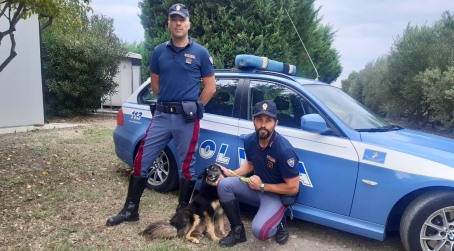 #senontiportononparto: il nuovo spot della Polizia di Stato contro l’abbandono degli animali Tutto questo è evitabile con un semplice e doveroso gesto d’amore: non abbandonarli ma portarli con sé