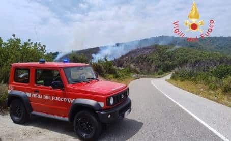 La Calabria colpita dagli incendi, diversi interventi dei Vigili del fuoco In diverse occasioni è stato necessaril support di un Canadair per lo spegnimento