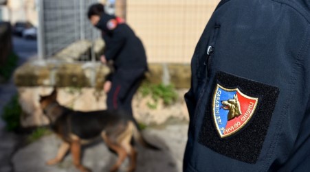 Colto in flagranza con possesso di droga, arrestato un 37enne in Calabria La sostanza stupefacente è stata interamente sequestrata per le successive analisi chimico-tossicologiche