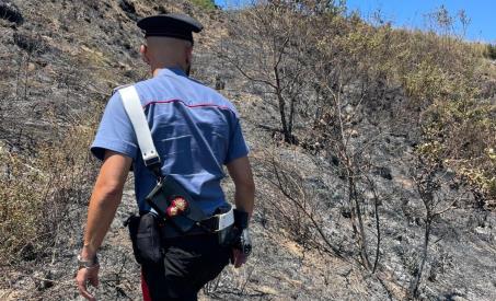 Sorpreso ad appiccare un incendio. Arrestato dai Carabinieri in Calabria L’intervento ha mostrato l’elevata sinergia e proficua comunicazione tra il Comune e le Forze dell’Ordine; è stato proprio il Sindaco a notare le fiamme ed allertare immediatamente i militari permettendo di trarre in arresto in flagranza di reato per incendio boschivo