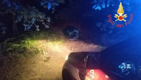 Disavventura a lieto fine nella tarda serata di ieri per un giovane in Calabria seguendo il navigatore satellitare è andato a finire tra le montagne Il malcapitato veniva contattato telefonicamente dal capo squadra dei vigili del fuoco e  la squadra del distaccamento di Lamezia Terme raggiungeva il giovane disperso che veniva accompagnato in zona sicura