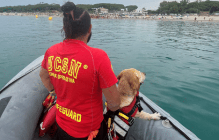 Durante un torneo di nuoto, un atleta ha un calo psico-fisico e viene messo in sicurezza dall’unità cinofila Il nuotatore ha dovuto arrestare la sua performance per un calo psico-fisico, l'unità Cinofila di Salvataggio della Croce Verde di Catanzaro e dell’UCSN, assieme al personale e all’imbarcazione della Società Nazionale di Salvamento della Sez. di Suellia Marina, hanno aiutato l’atleta a salire a bordo