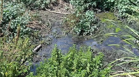 Reflui non depurati in torrente, sequestrato scarico fognario in Calabria Lo scarico fognario è stato sequestrato ed i responsabili sono stati deferiti all'Autorità giudiziaria con le ipotesi di reato di abbandono di rifiuti allo stato liquido sul suolo